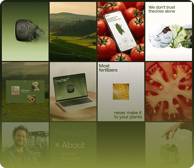 Green Harvest visual system